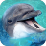 海洋动物模拟器