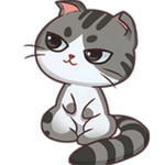 熊大猫